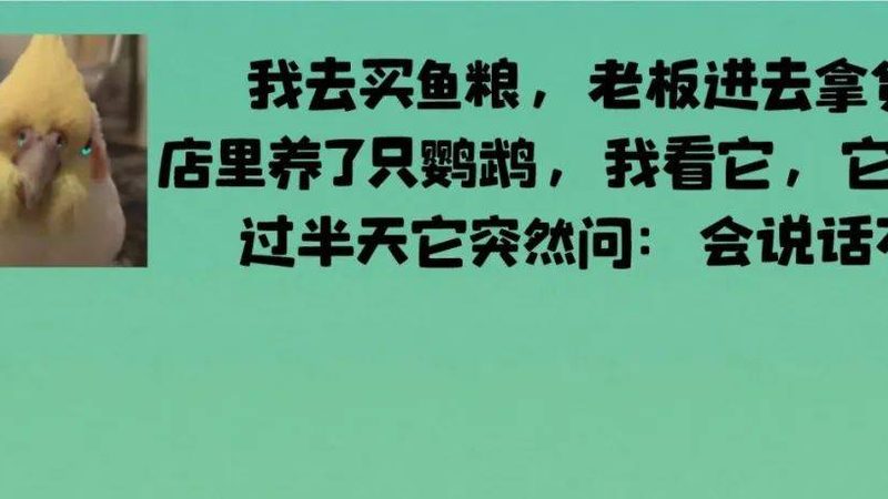 情人节甜蜜心意，创意糖果批发市场探秘