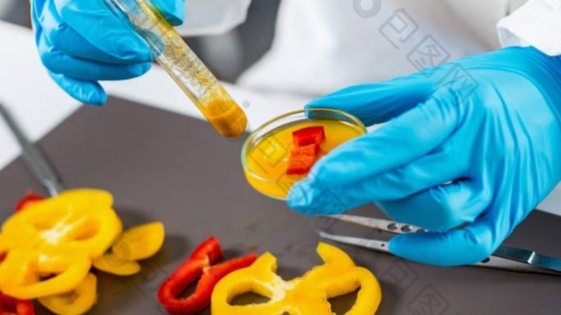 手工面食与机制米面制品的工艺差异与品质解析